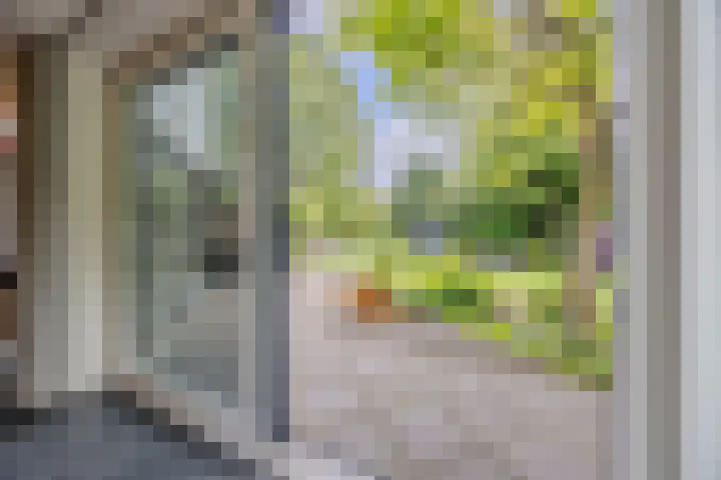 Linthorst-Homanlaan 33 Oosterhout thumbnail 29