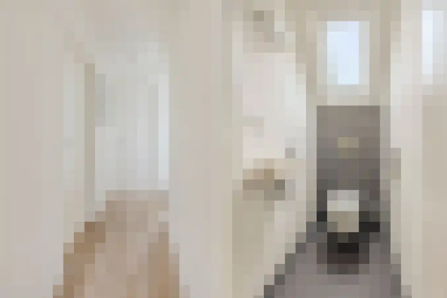 Linthorst-Homanlaan 33 Oosterhout thumbnail 37