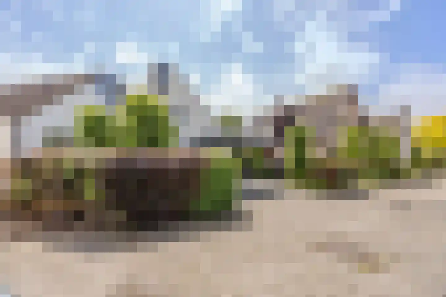 Linthorst-Homanlaan 33 Oosterhout thumbnail 5