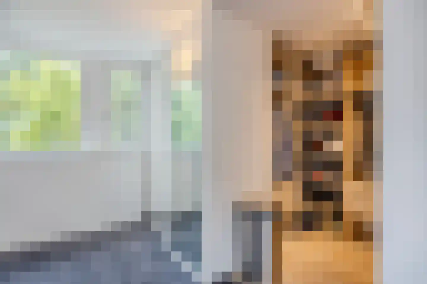 Linthorst-Homanlaan 33 Oosterhout thumbnail 50