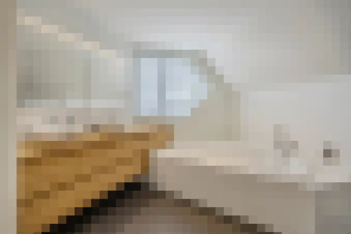 Linthorst-Homanlaan 33 Oosterhout thumbnail 56