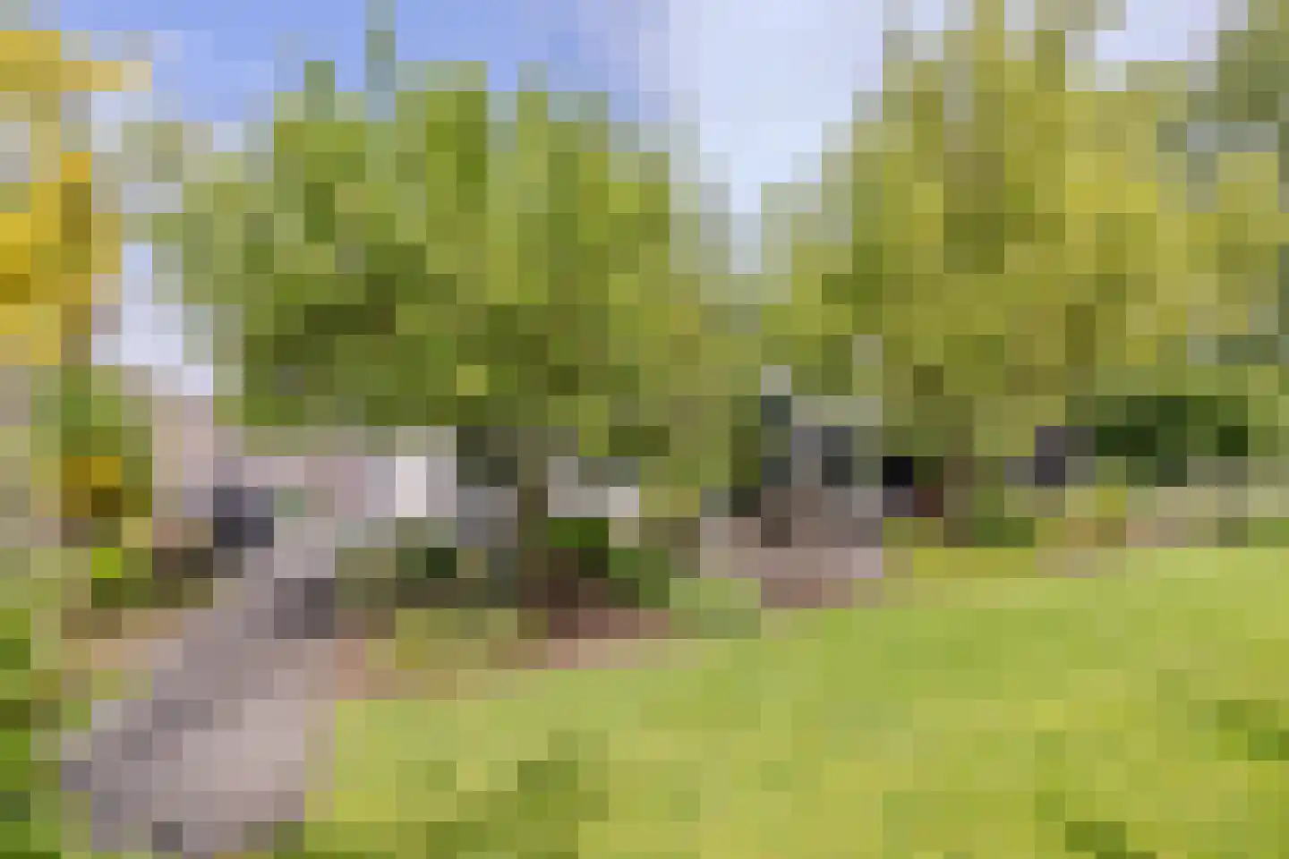 Linthorst-Homanlaan 33 Oosterhout thumbnail 63