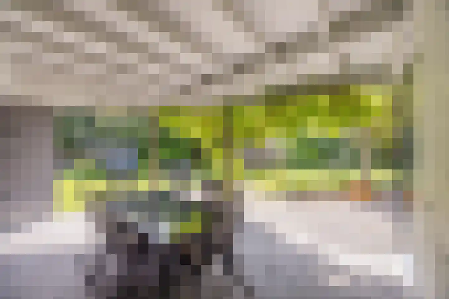 Linthorst-Homanlaan 33 Oosterhout thumbnail 69