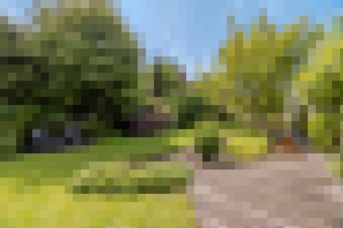 Linthorst-Homanlaan 33 Oosterhout thumbnail 7