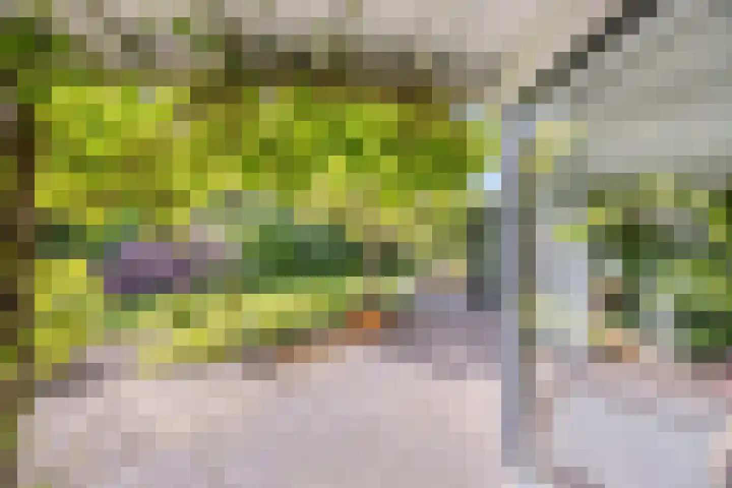 Linthorst-Homanlaan 33 Oosterhout thumbnail 70