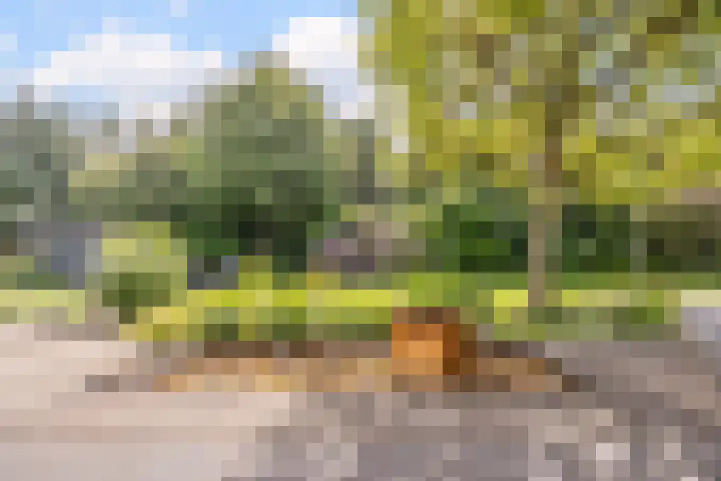 Linthorst-Homanlaan 33 Oosterhout thumbnail 71