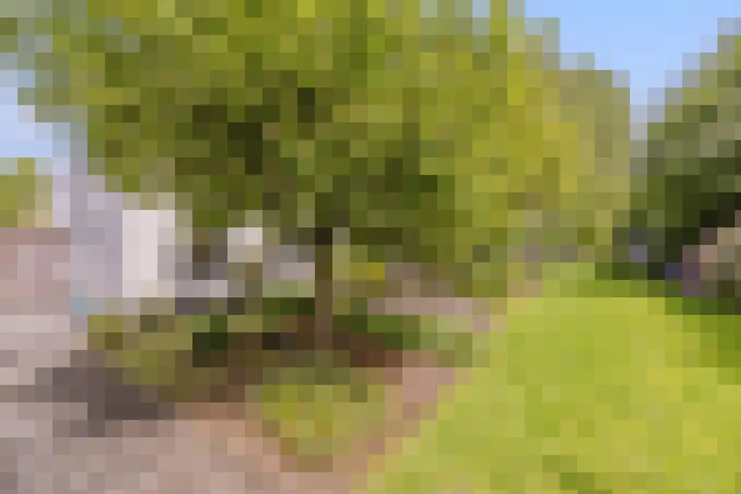 Linthorst-Homanlaan 33 Oosterhout thumbnail 74