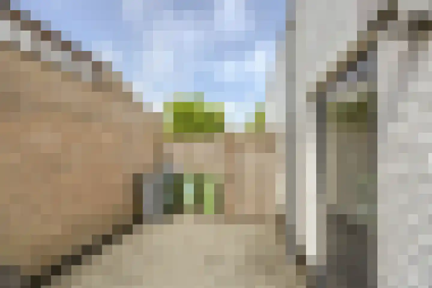 Linthorst-Homanlaan 33 Oosterhout thumbnail 75
