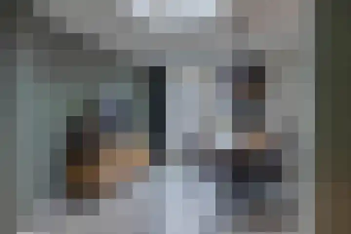 Linthorst Homanloane 34 Kootstertille thumbnail 10