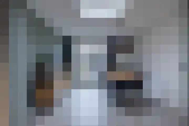 Linthorst Homanloane 34 Kootstertille thumbnail 11