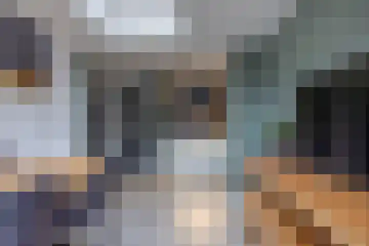 Linthorst Homanloane 34 Kootstertille thumbnail 12