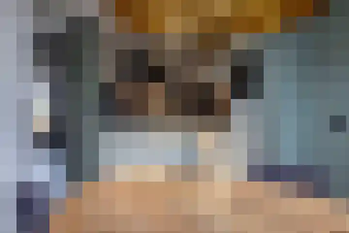 Linthorst Homanloane 34 Kootstertille thumbnail 13