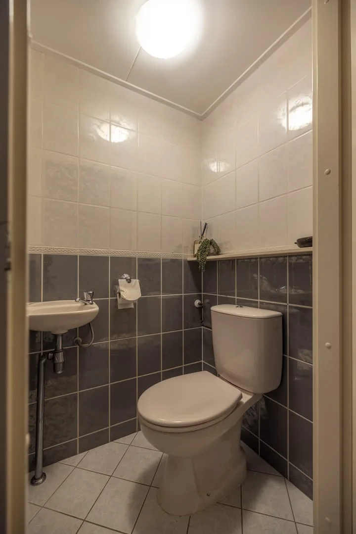 Linthorst Homanloane 34 Kootstertille thumbnail 15