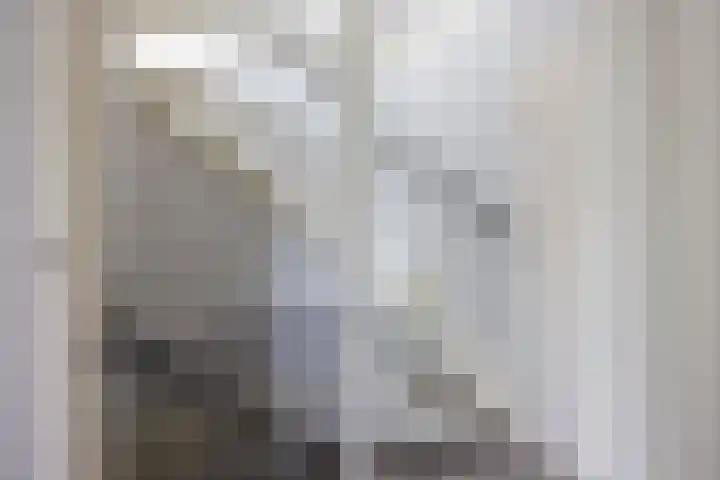 Linthorst Homanloane 34 Kootstertille thumbnail 27