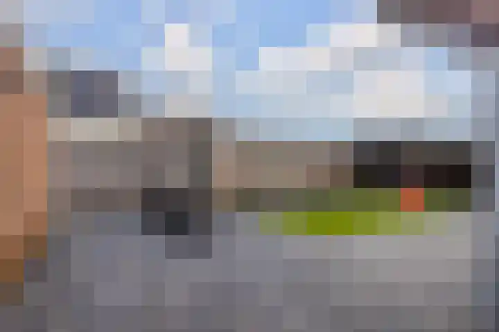 Linthorst Homanloane 34 Kootstertille thumbnail 33