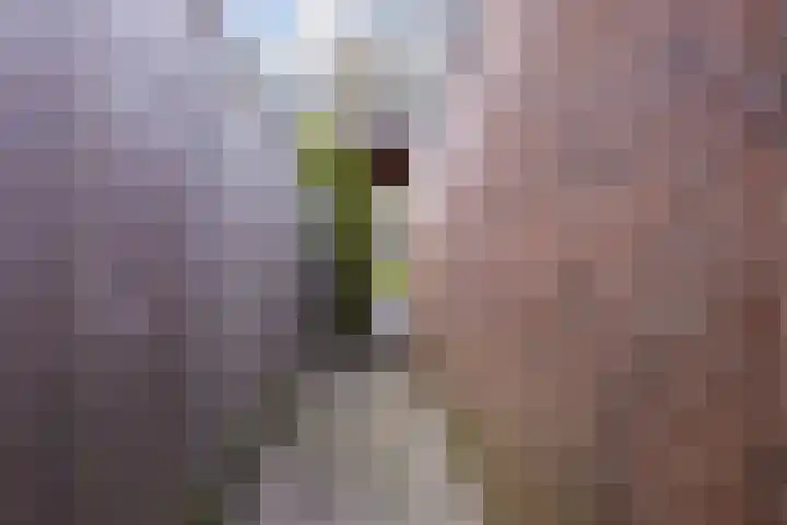Linthorst Homanloane 34 Kootstertille thumbnail 35