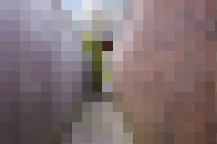 Linthorst Homanloane 34 Kootstertille thumbnail 37