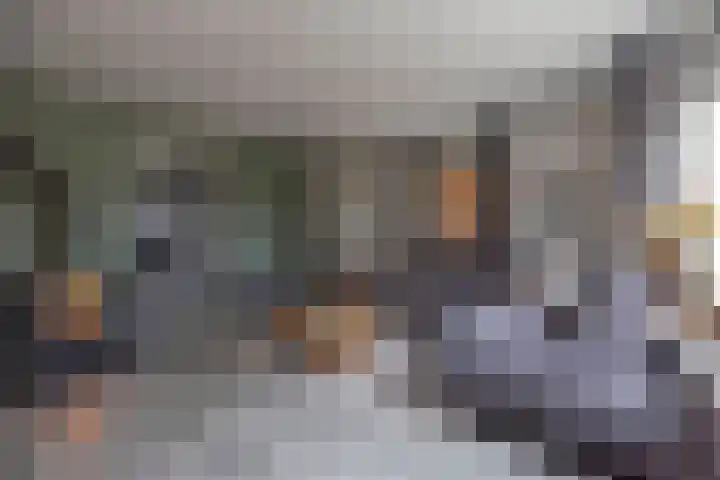 Linthorst Homanloane 34 Kootstertille thumbnail 8