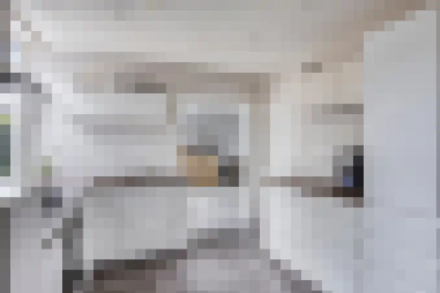 Linthorst Homanstraat 30 Wilhelminaoord thumbnail 13
