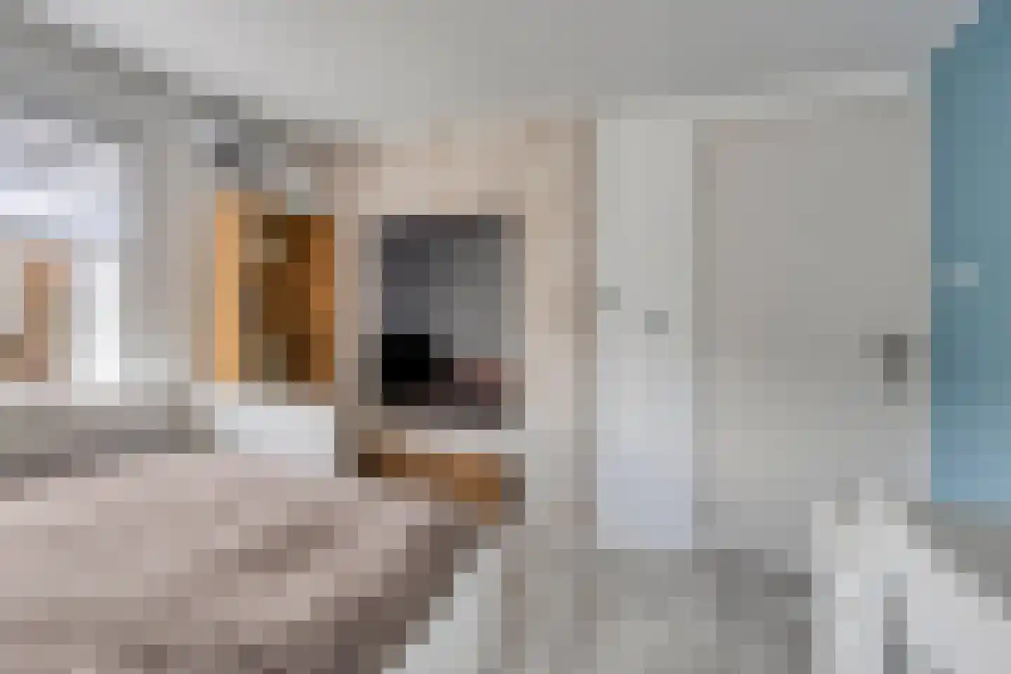Linthorst Homanstraat 30 Wilhelminaoord thumbnail 22