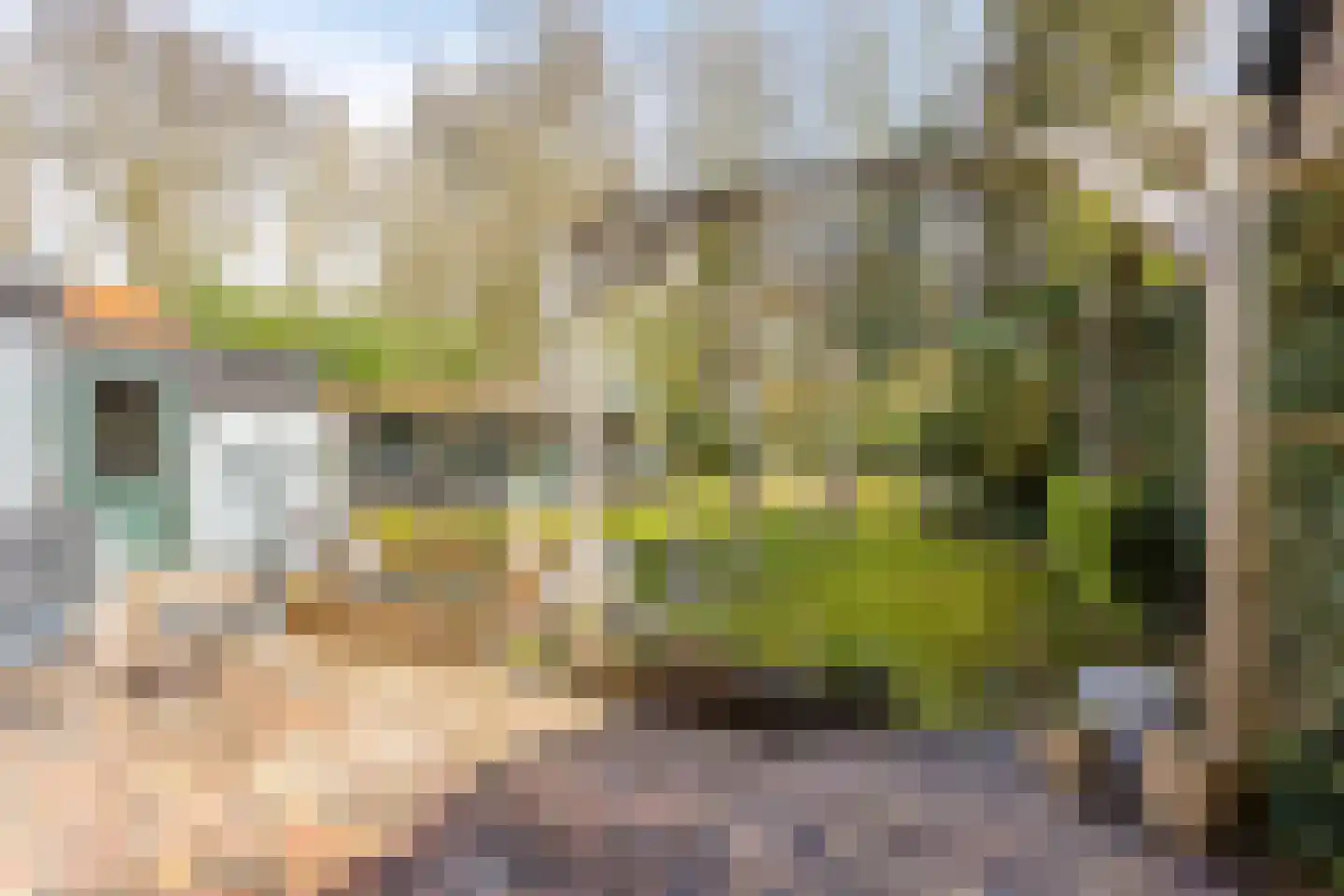Linthorst Homanstraat 30 Wilhelminaoord thumbnail 29