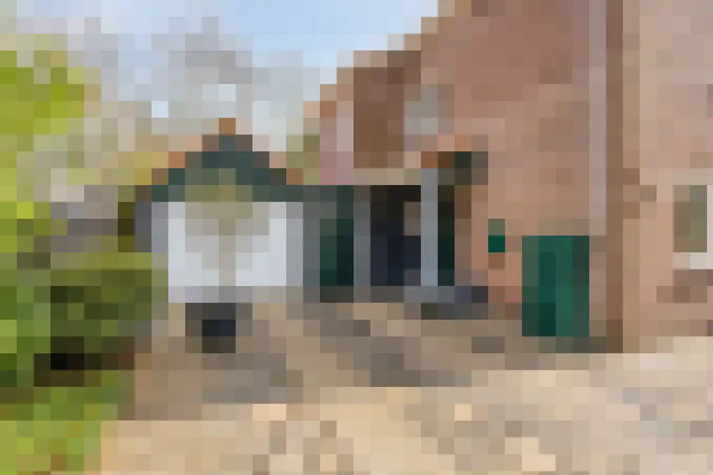 Linthorst Homanstraat 30 Wilhelminaoord thumbnail 35