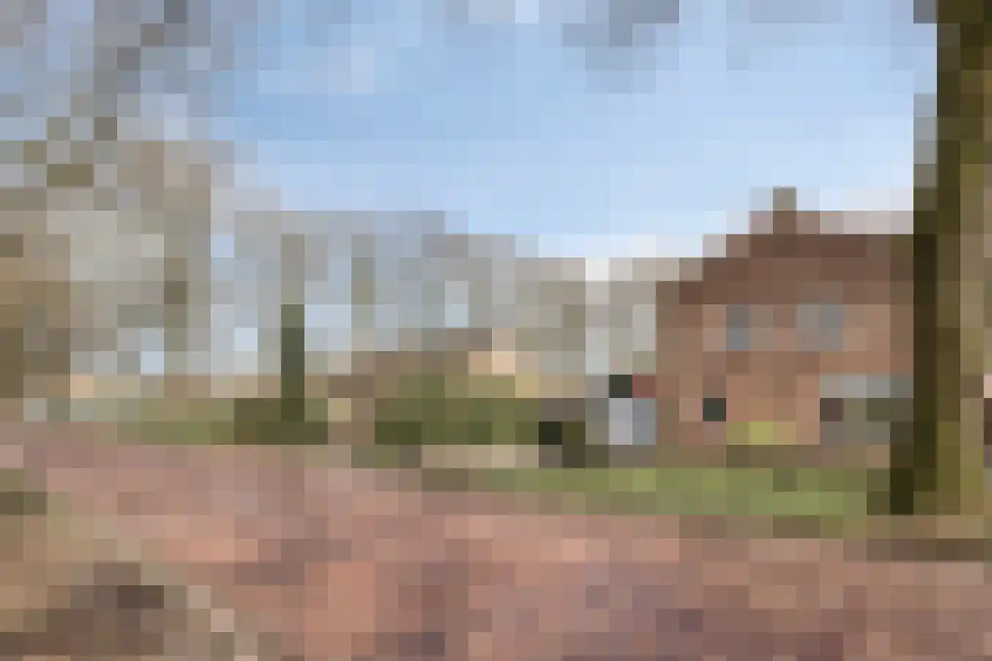Linthorst Homanstraat 30 Wilhelminaoord thumbnail 37