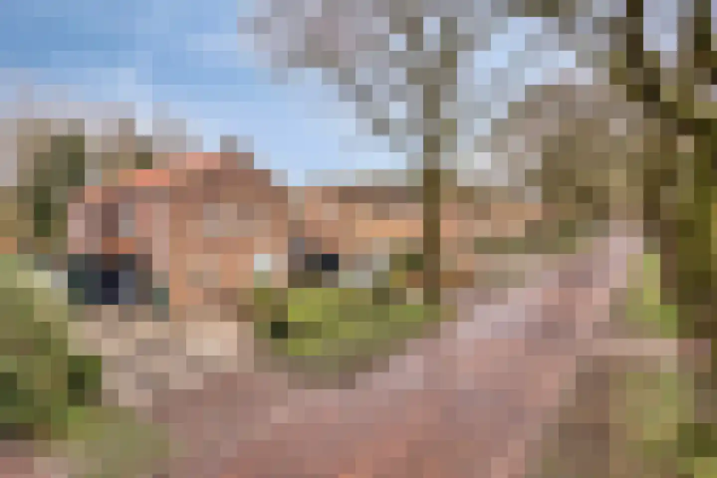 Linthorst Homanstraat 30 Wilhelminaoord thumbnail 38