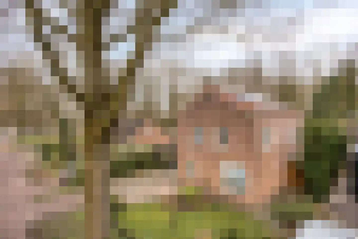 Linthorst Homanstraat 30 Wilhelminaoord thumbnail 4