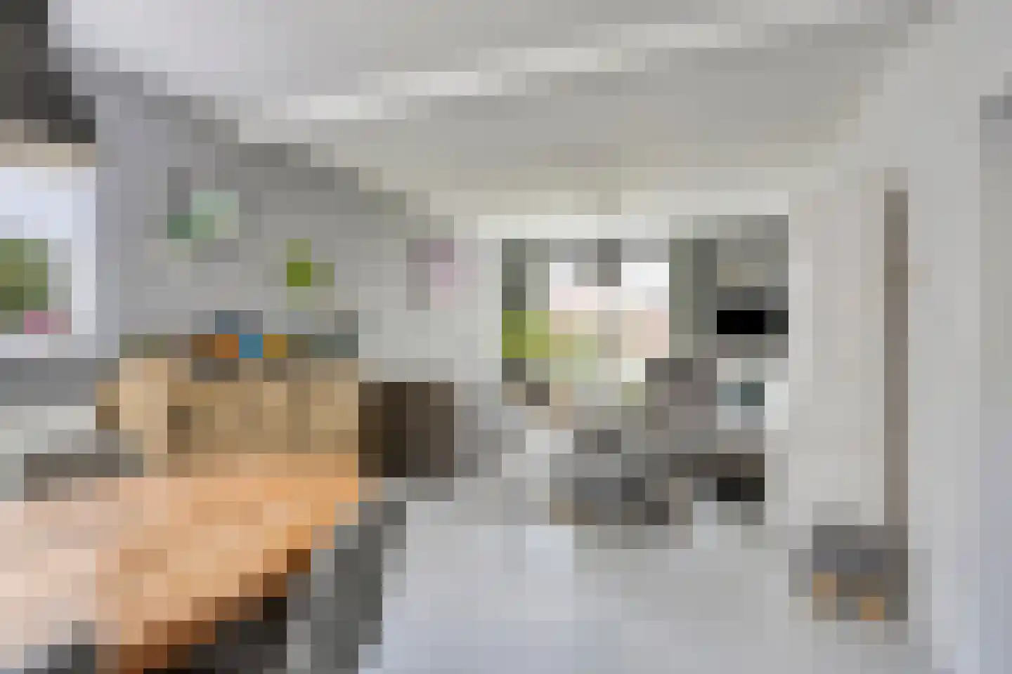 Linthorst Homanstraat 30 Wilhelminaoord thumbnail 5