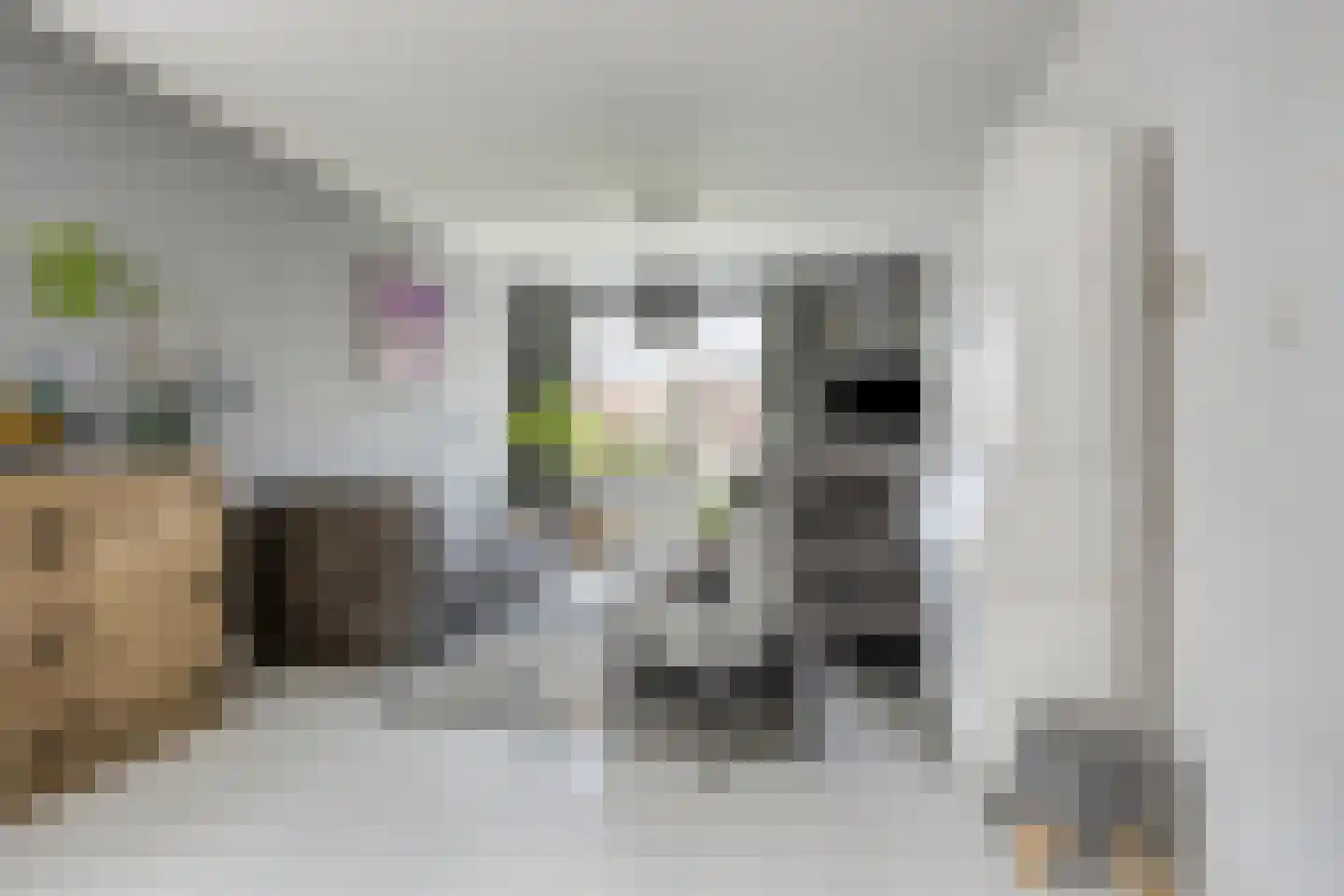 Linthorst Homanstraat 30 Wilhelminaoord thumbnail 6