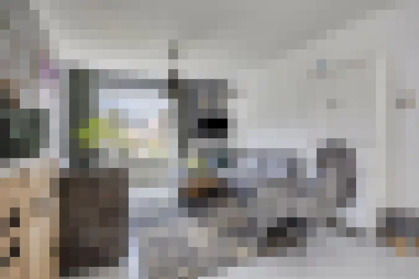 Linthorst Homanstraat 30 Wilhelminaoord thumbnail 7