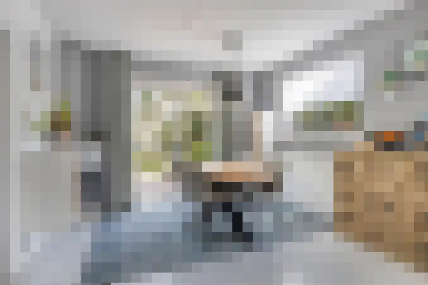 Linthorst Homanstraat 30 Wilhelminaoord thumbnail 9