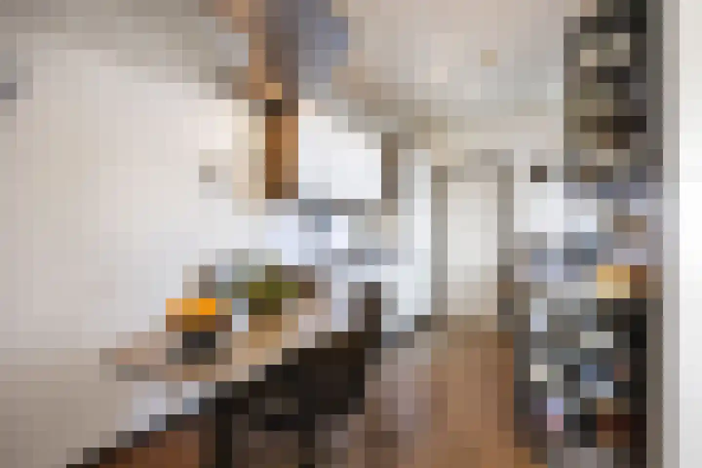 Linthorst Homanstraat 38 Franeker thumbnail 23