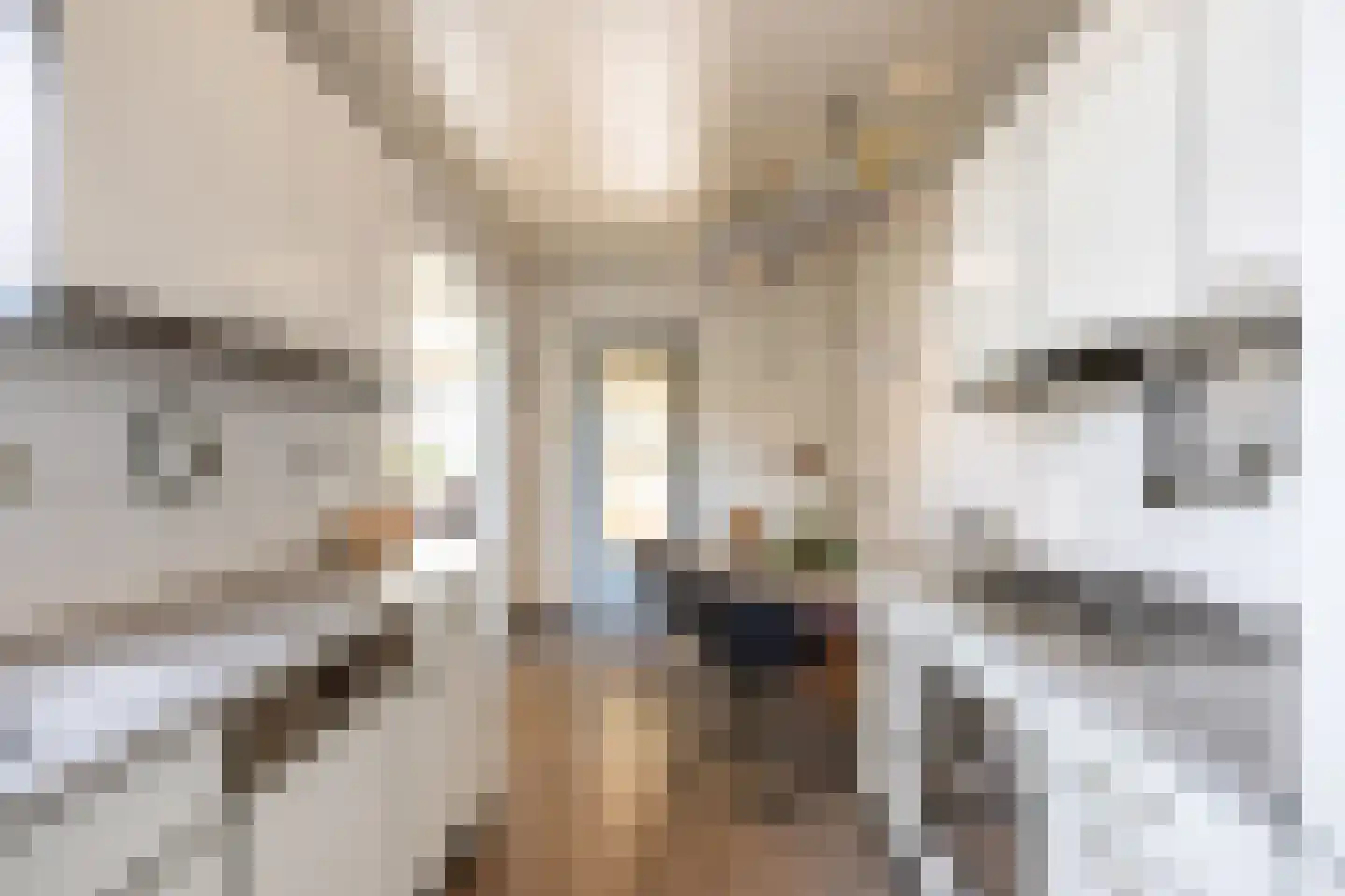 Linthorst Homanstraat 38 Franeker thumbnail 27