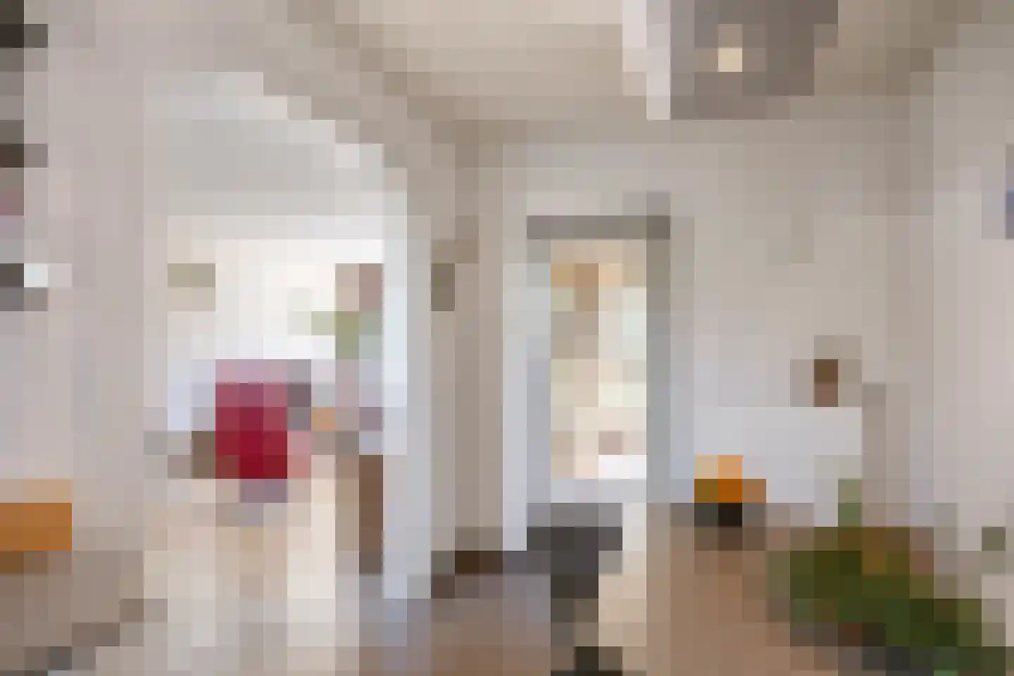 Linthorst Homanstraat 38 Franeker thumbnail 28