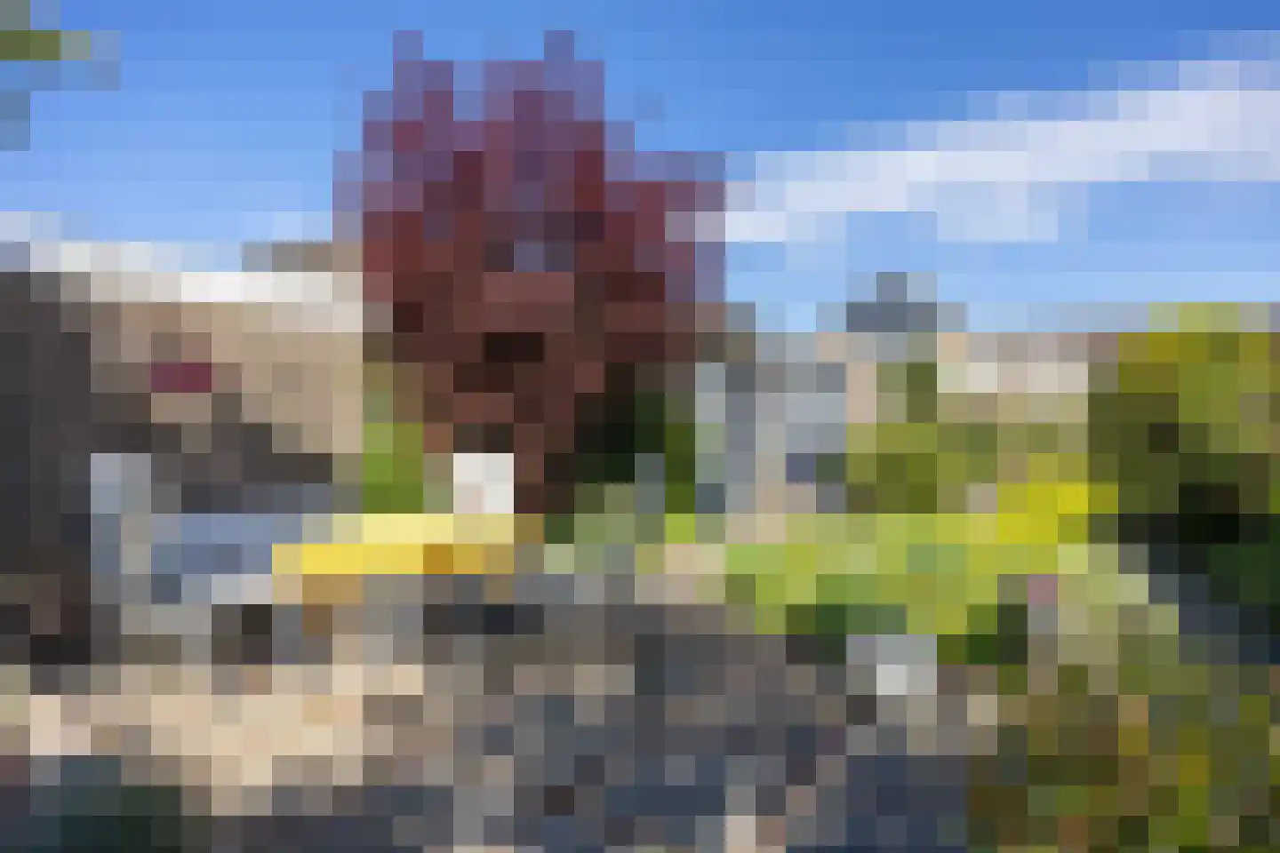 Linthorst Homanstraat 38 Franeker thumbnail 33