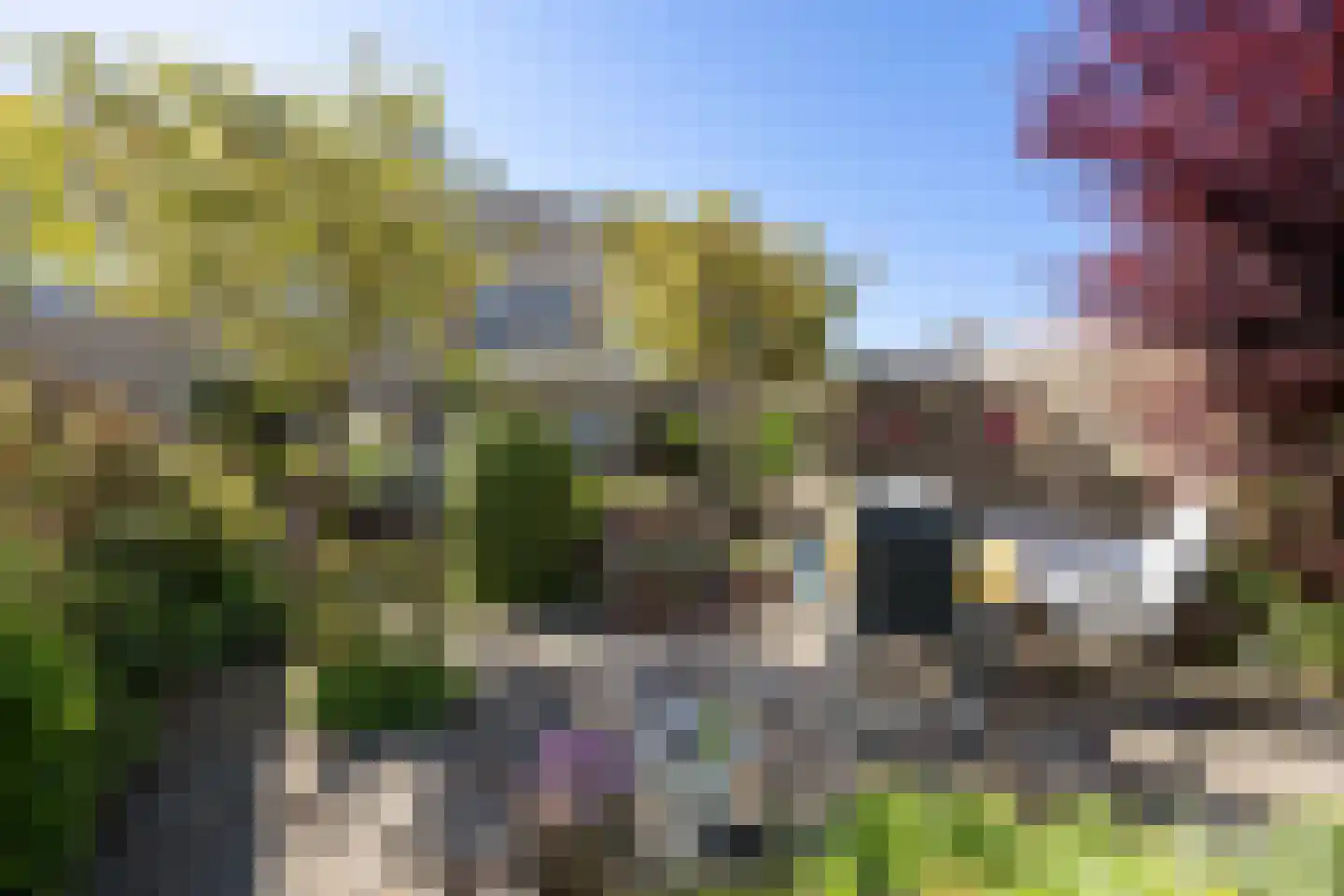 Linthorst Homanstraat 38 Franeker thumbnail 36