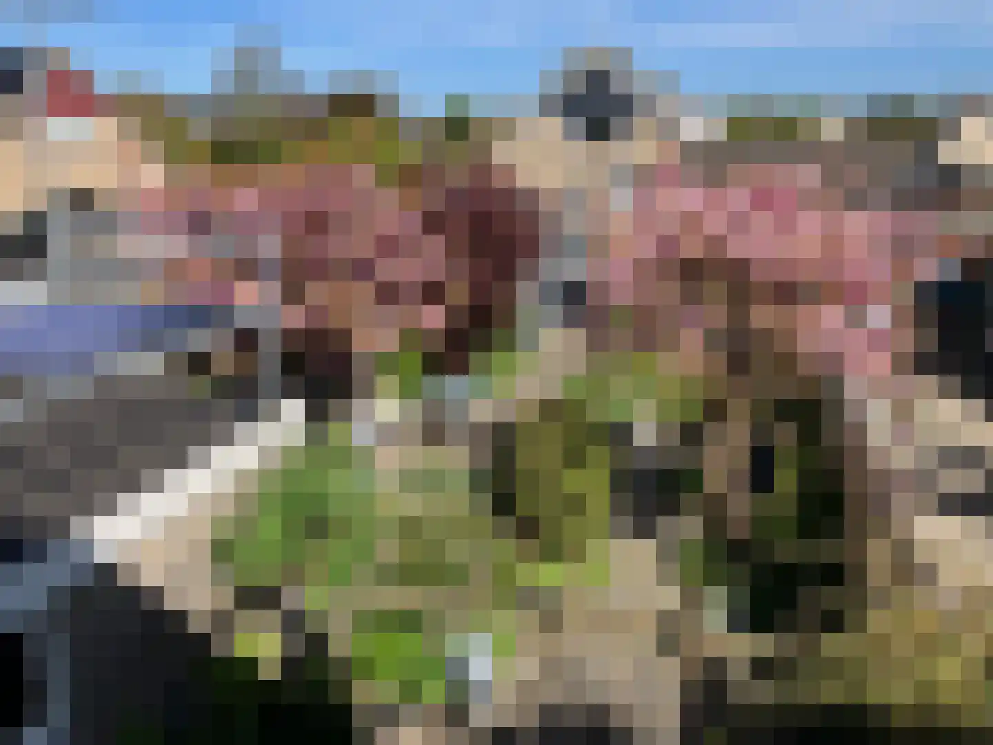 Linthorst Homanstraat 38 Franeker thumbnail 39