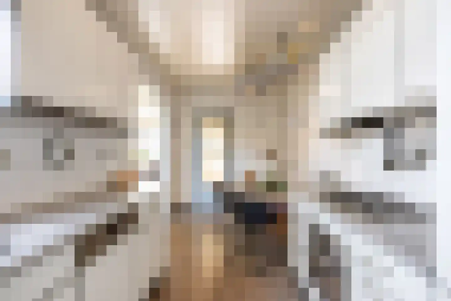 Linthorst Homanstraat 38 Franeker thumbnail 6