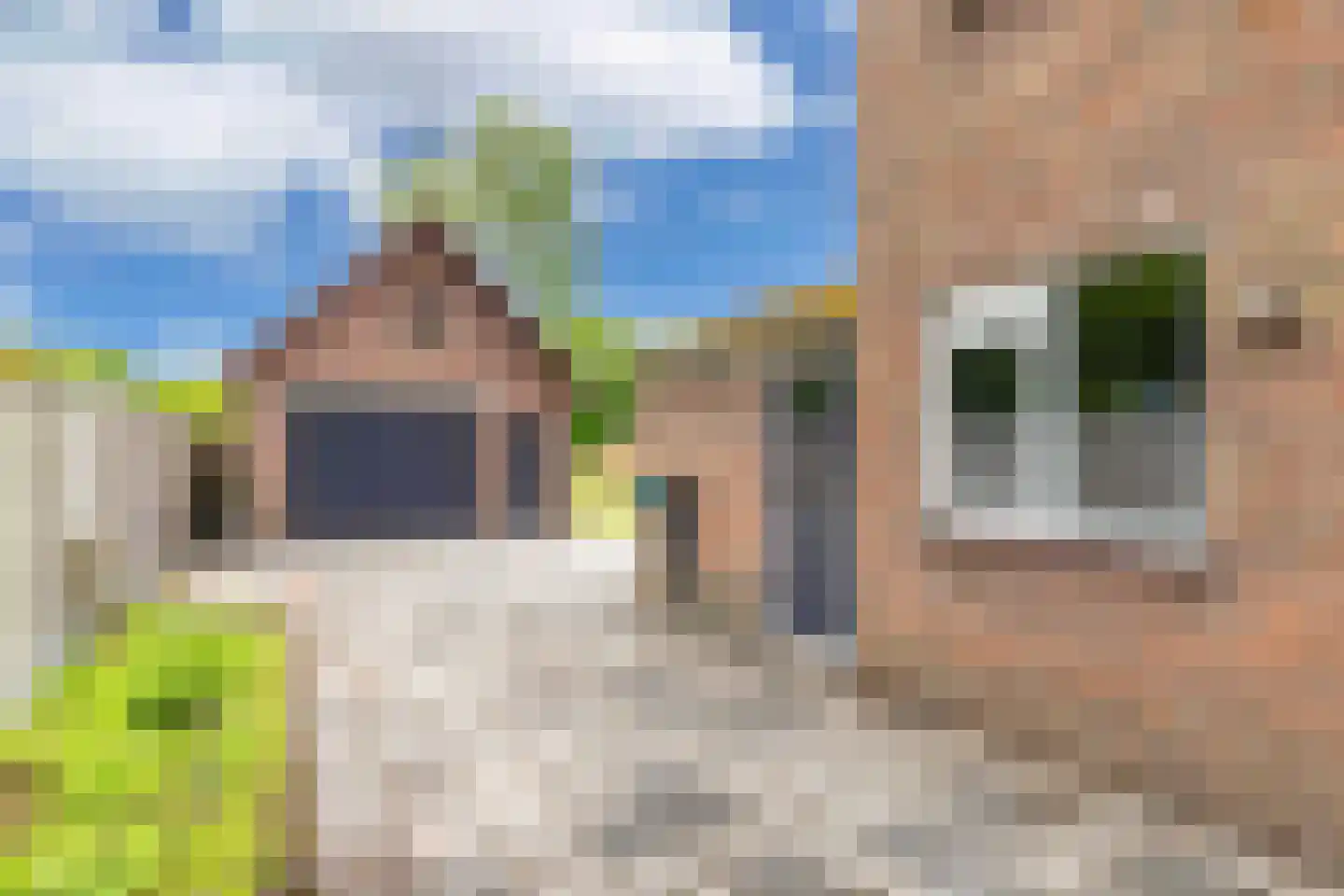 Linthorst Homanstraat 40 Wilhelminaoord thumbnail 34
