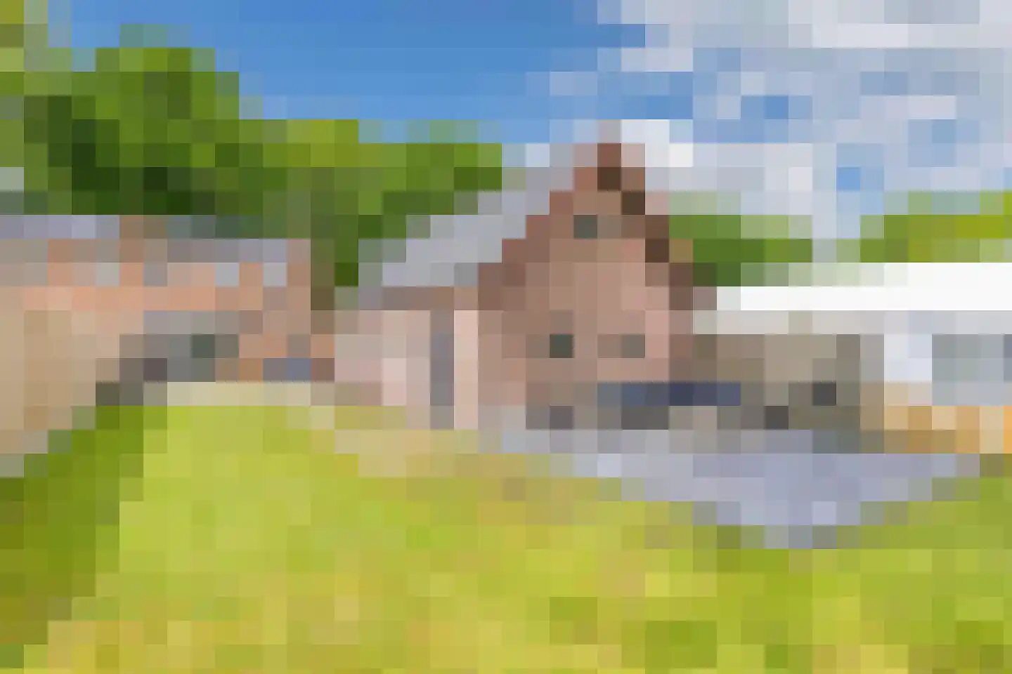 Linthorst Homanstraat 40 Wilhelminaoord thumbnail 38