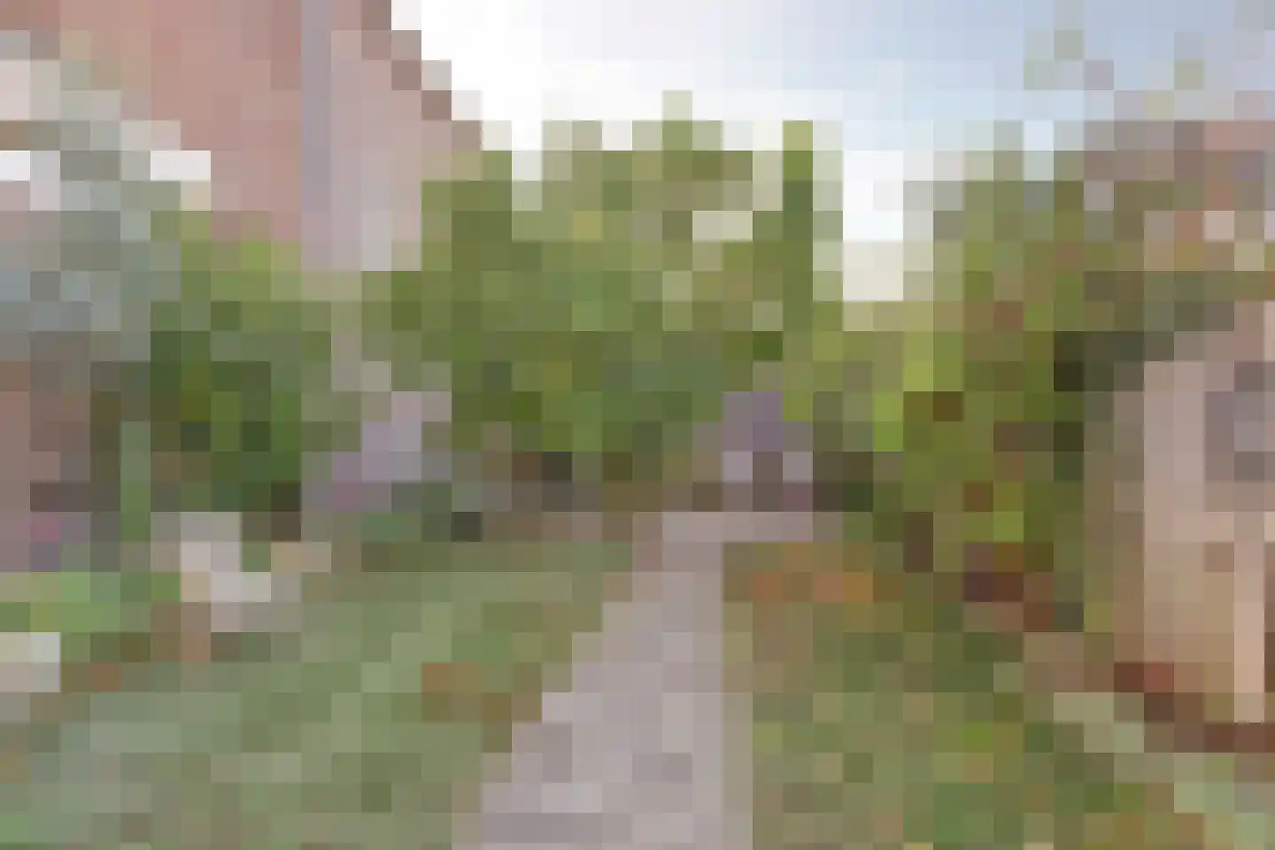 Linthorst Homanstraat 48 Hoogeveen thumbnail 36