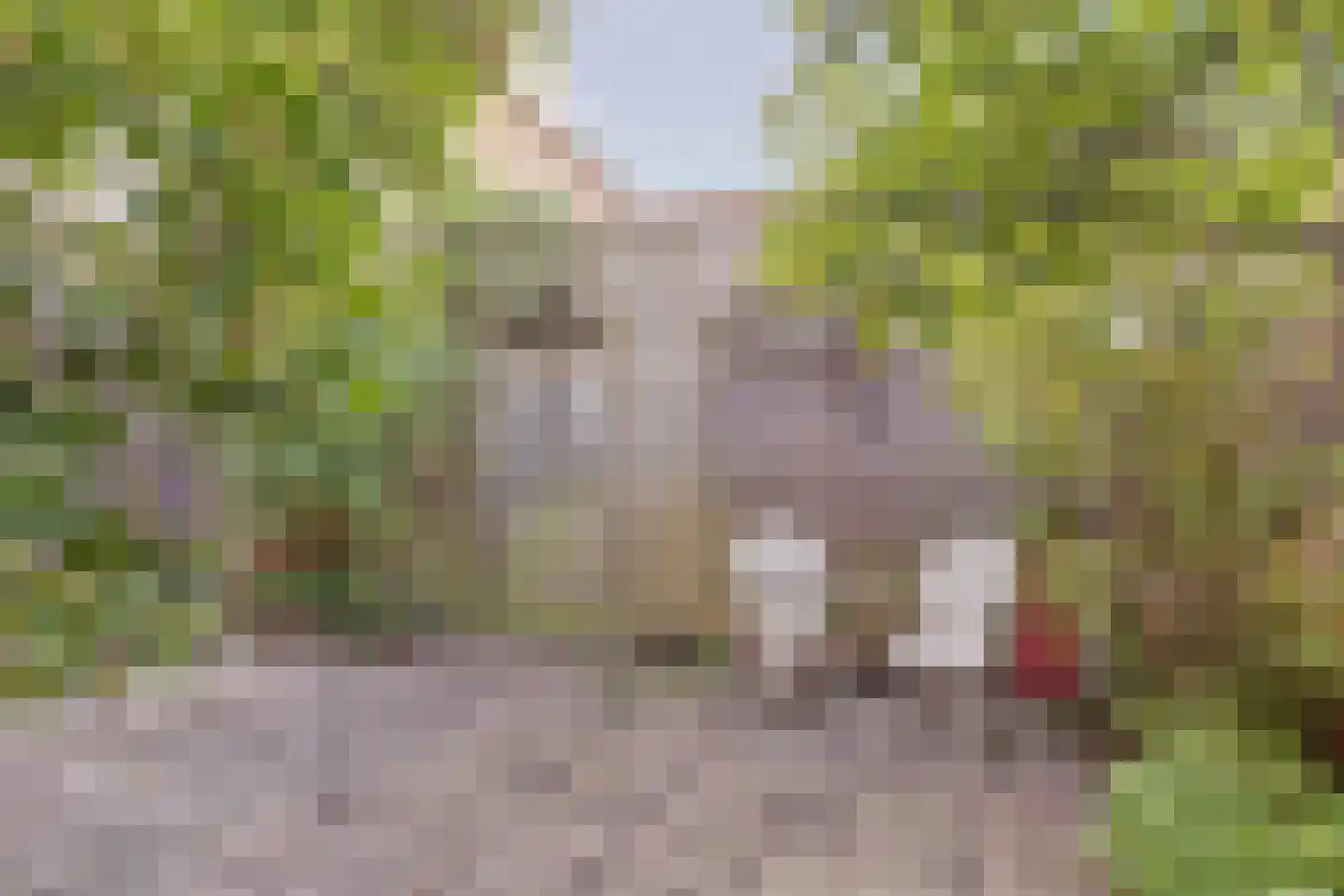 Linthorst Homanstraat 48 Hoogeveen thumbnail 38