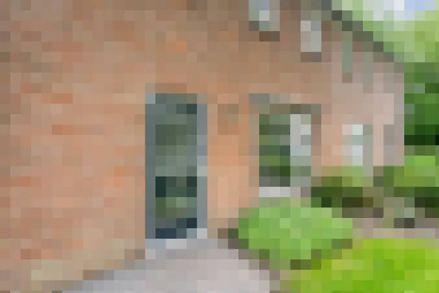 Linthorst Homanstraat 48 Wilhelminaoord thumbnail 13