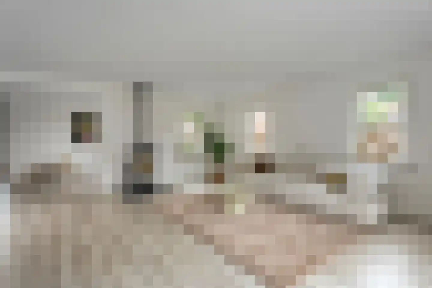 Linthorst Homanstraat 48 Wilhelminaoord thumbnail 18