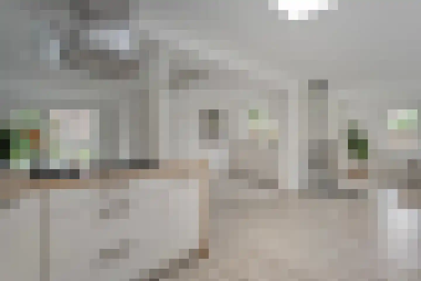 Linthorst Homanstraat 48 Wilhelminaoord thumbnail 23