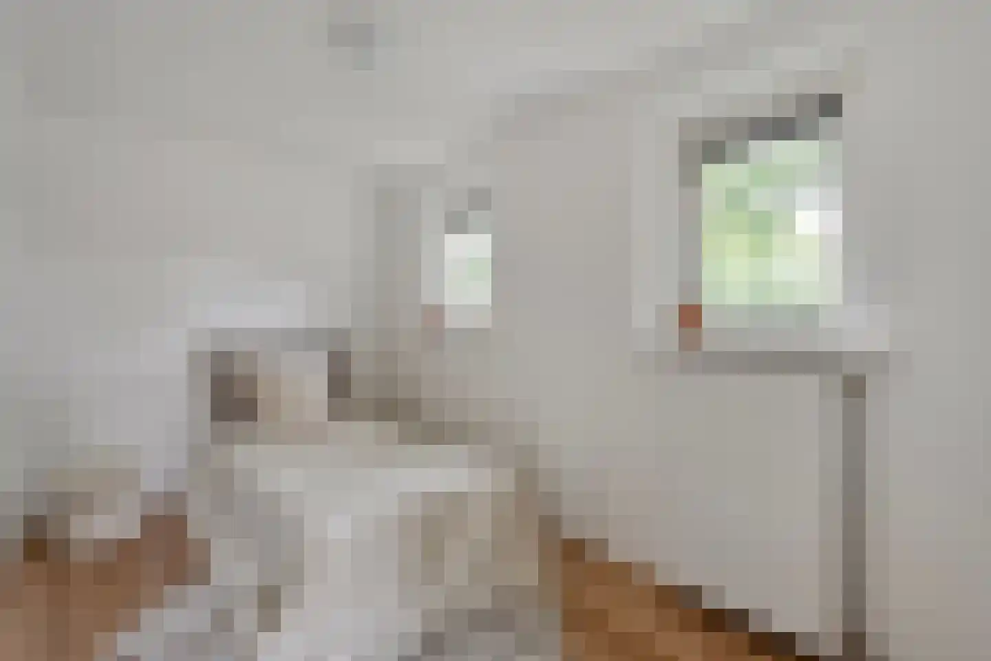 Linthorst Homanstraat 48 Wilhelminaoord thumbnail 35
