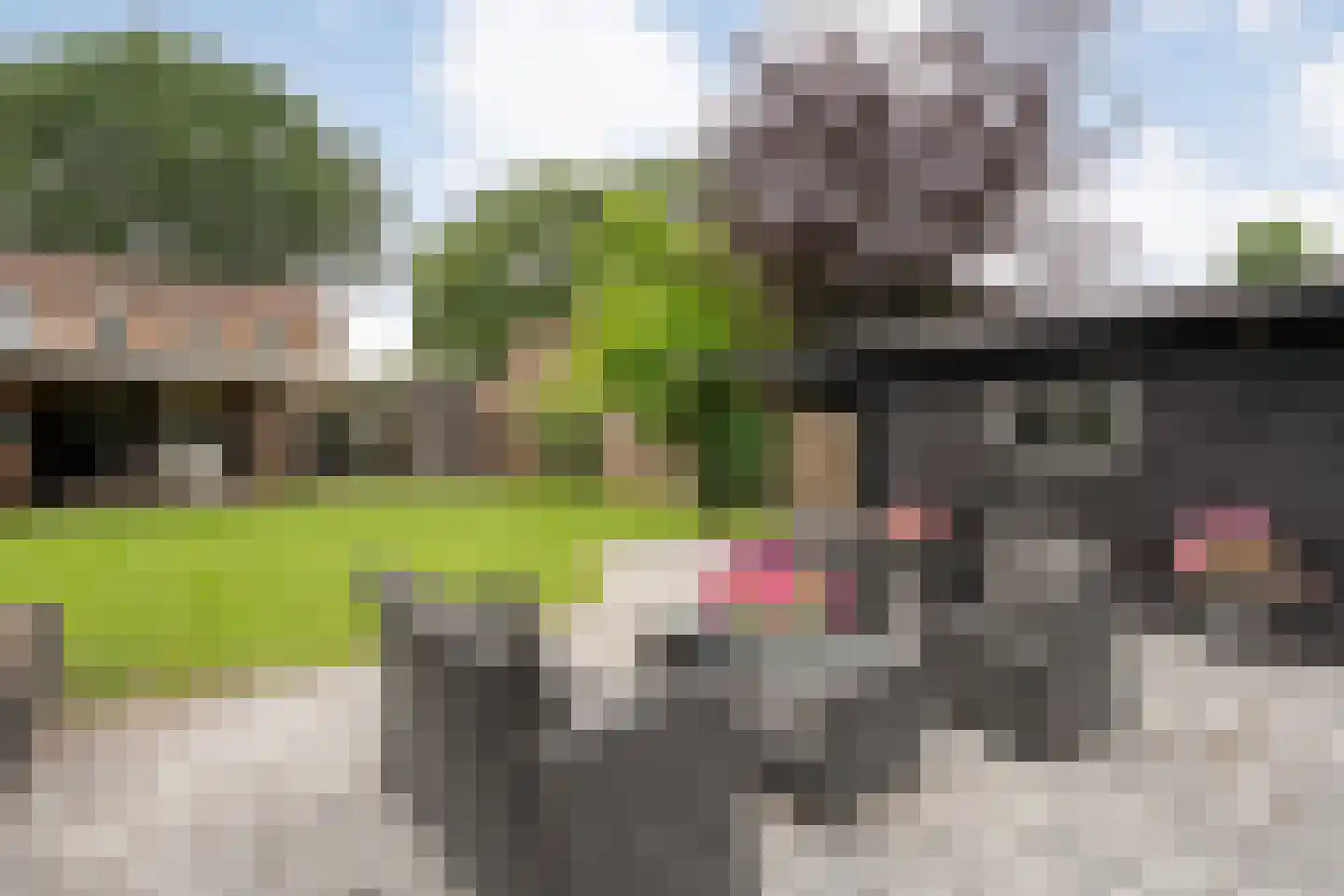 Linthorst Homanstraat 48 Wilhelminaoord thumbnail 41