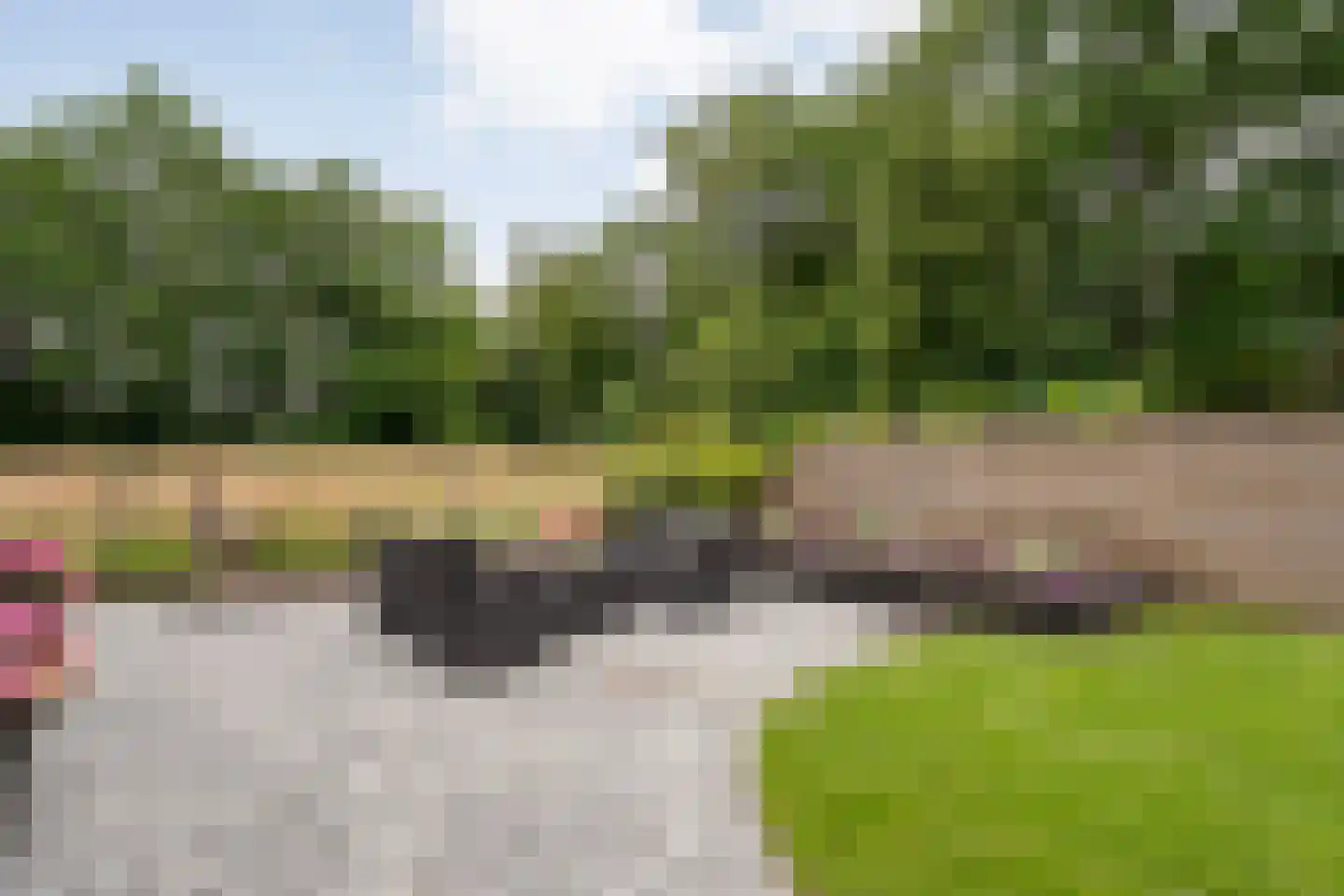 Linthorst Homanstraat 48 Wilhelminaoord thumbnail 42
